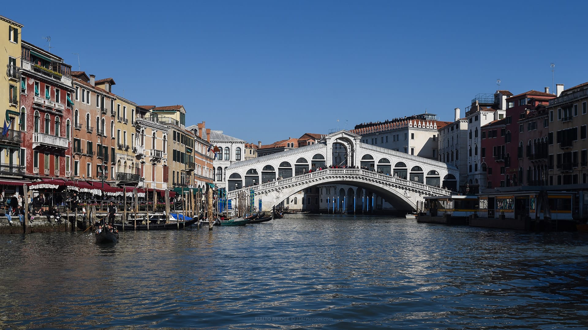 A Guide to Venice Bridges - From Famous Icons to Secret Corners 1 Venice bridges - Ponte di Rialto (Rialto Bridge)
