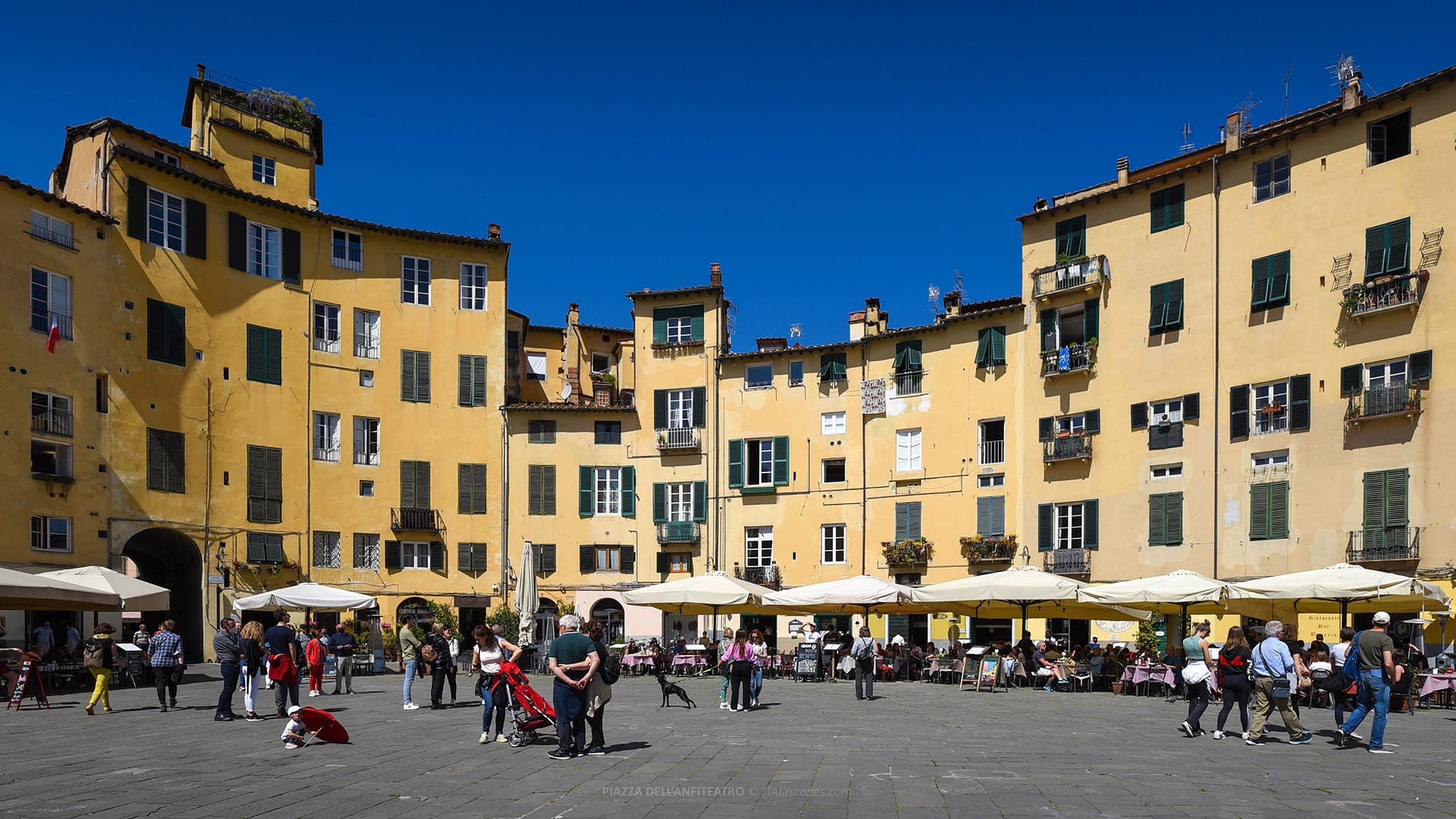 Piazza dell'Anfiteatro 6 Piazza dell'Anfiteatro - Lucca