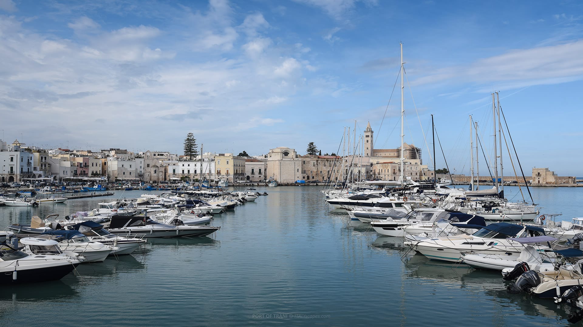 Port of Trani 3 Port of Trani