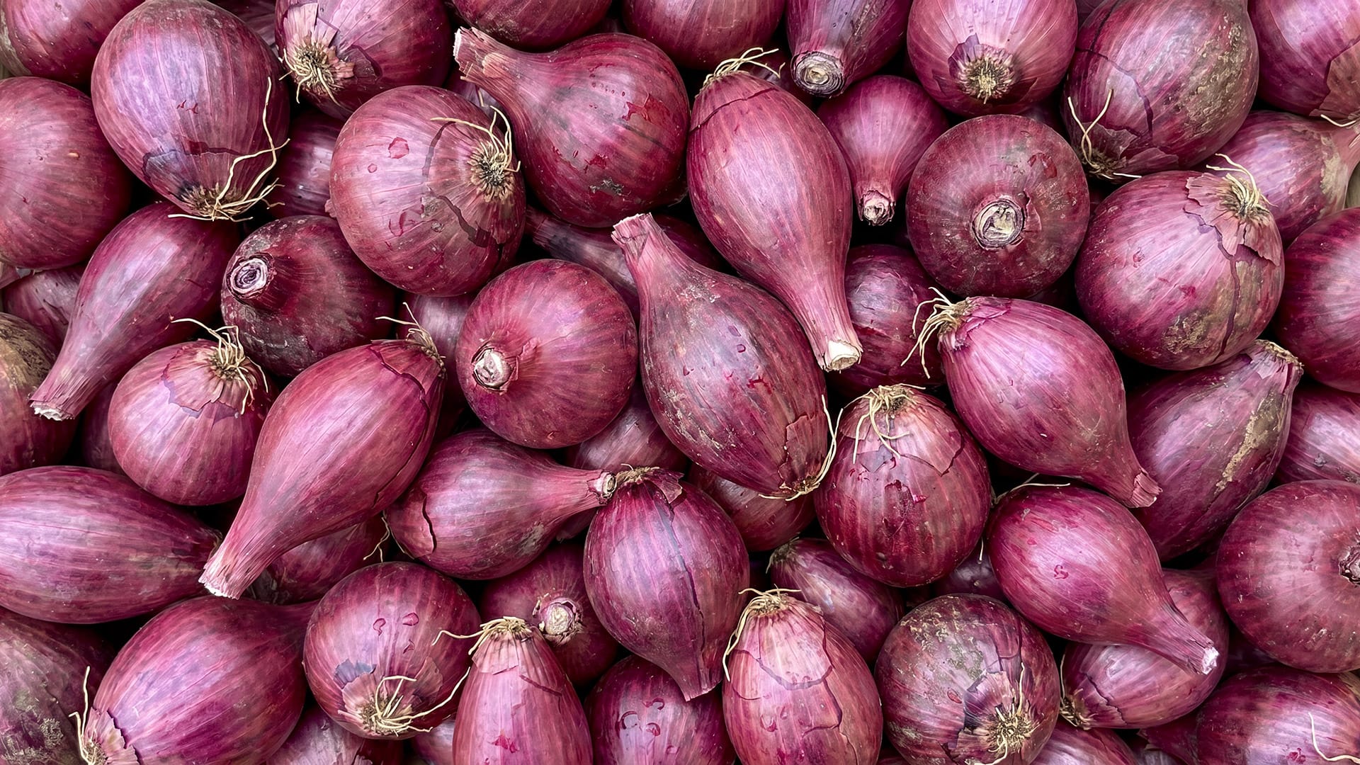 Calabria’s Most Iconic Foods - Onion, 'Nduja, Bergamot, Licorice and Tartufo 1 Tropea red onion - Calabria’s Iconic Foods